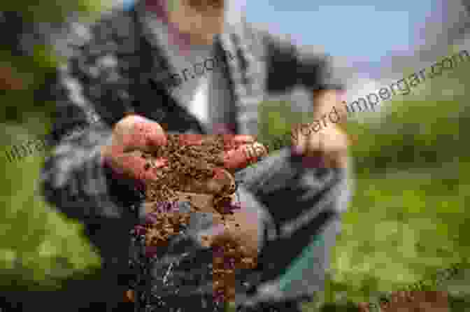 A Farmer Observing The Health Of His Soil Holistic Management Handbook Third Edition: Regenerating Your Land And Growing Your Profits