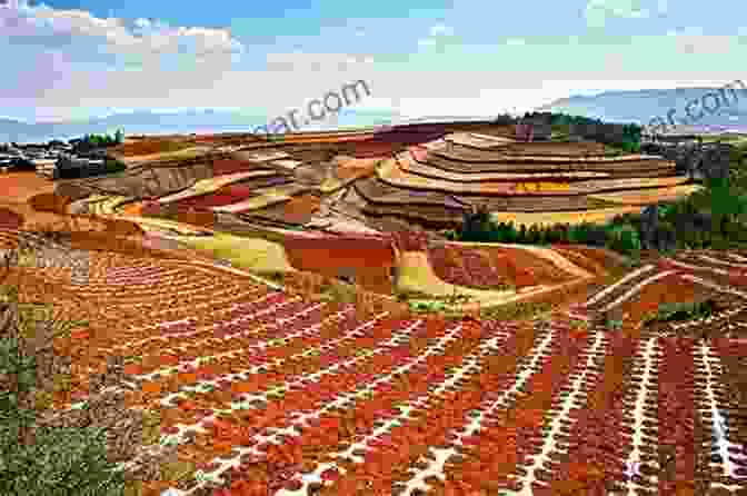 A Panoramic View Of The Red Soils Of China, With Rolling Hills And Lush Vegetation. The Red Soils Of China: Their Nature Management And Utilization (Cancer Treatment Research S)