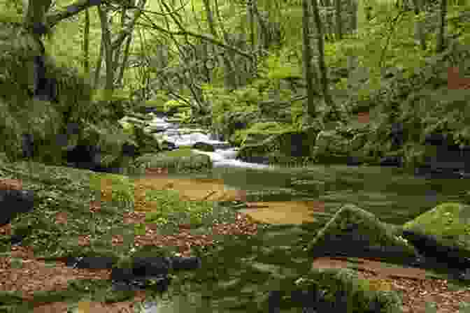 A River Flowing Through A Lush Landscape, Symbolizing The Fluid Nature Of Life Through Water Ice Fire: Schooner Nancy Of The War Of 1812