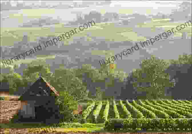 Aerial Shot Of Sprawling Vineyards In The Picturesque French Countryside Buy Mom The Wine She Ll Love: A Newbie S Guide To Becoming Wine Savvy