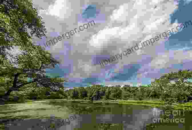 Aerial View Of The Chesapeake Bay With Lush Greenery And Glistening Waters Life In The Chesapeake Bay: An Illustrated Guide To The Fishes Invertebrates Plants Birds And Other Inhabitants Of The Bays And Inlets From Cape Cod To Cape Hatteras