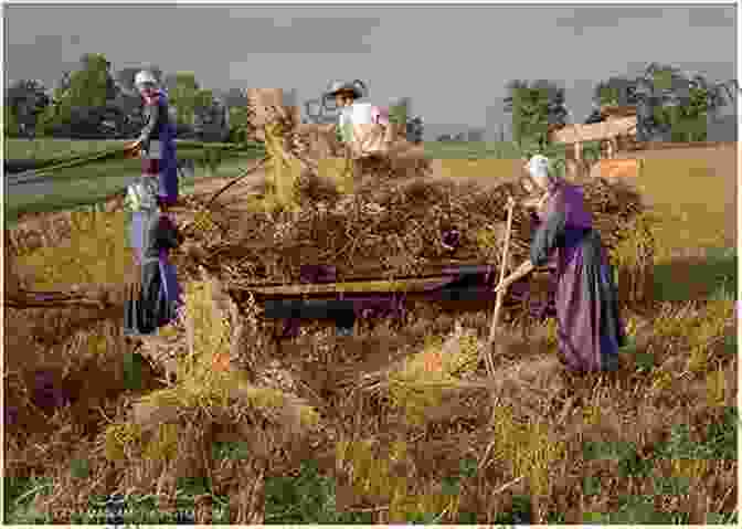 Amish Family Working In A Field My Life As An Amish Wife (Plain Living)