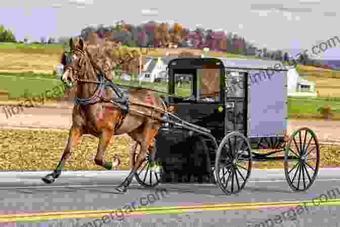 Amish Horse And Buggy My Life As An Amish Wife (Plain Living)