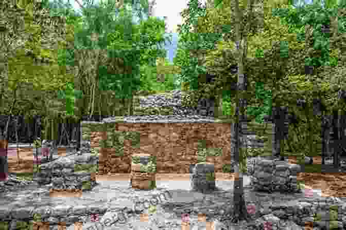 Ancient Mayan Ruins Amidst Lush Vegetation Looking For History: Dispatches From Latin America