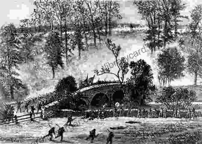 Battle Of Sharpsburg Their Maryland: The Army Of Northern Virginia From The Potomac Crossing To Sharpsburg In September 1862