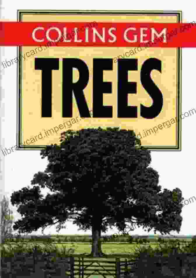 Collins Gem Alastair Fitter: A Comprehensive Guide To Trees Trees (Collins Gem) Alastair Fitter