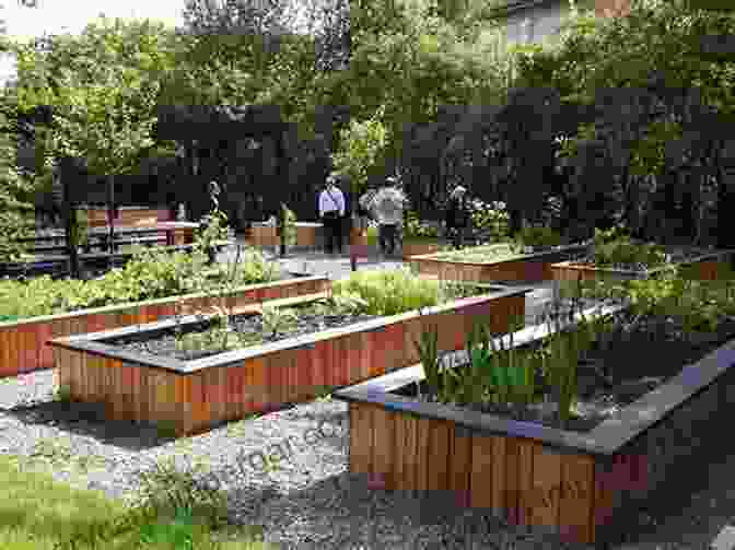 Community Garden In A City Hemp Bound: Dispatches From The Front Lines Of The Next Agricultural Revolution