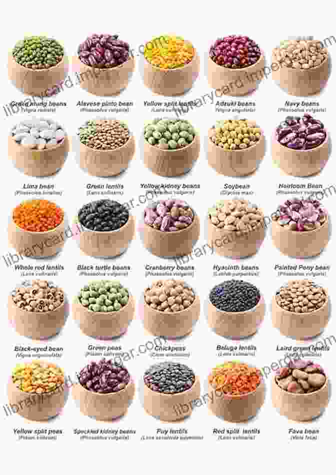 Cover Image Of Legumes Of Africa Checklist Book, Showcasing A Variety Of Legumes And Their Botanical Features. Legumes Of Africa: A Checklist (Check List)