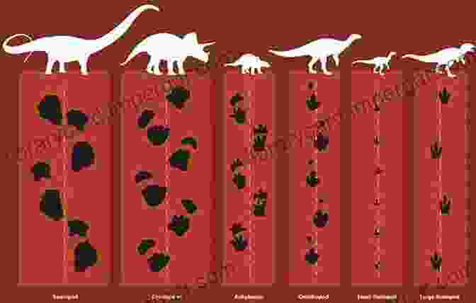 Dinosaur Footprints On Different Continents Dinosaurs: 10 Things You Should Know