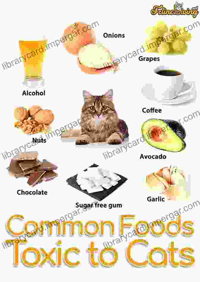 Foods That Are Toxic To Cats Why Does My Cat Do That?: Comprehensive Answers To The 50+ Questions That Every Cat Owner Asks: Comprehensive Answers To The 50 Questions That Every Cat Owner Asks (Why Does My ?)