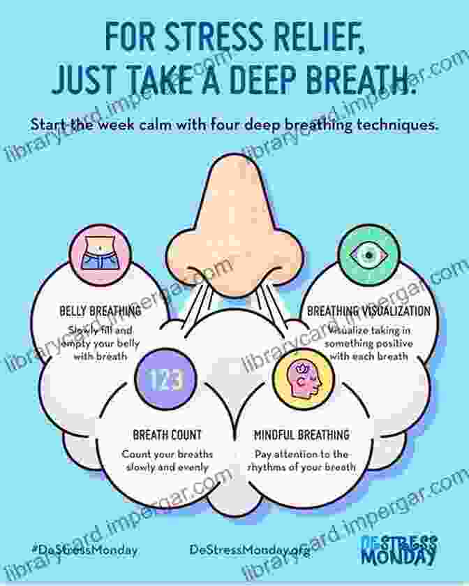 Image Depicting A Person Regulating Their Emotions Through Deep Breathing Exercises Affect Regulation And The Repair Of The Self (Norton On Interpersonal Neurobiology)