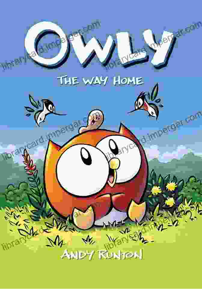 Owly Owls Book Cover Owly Owls Most Popular Owls Of The World: Fun Facts And Pictures For Kids