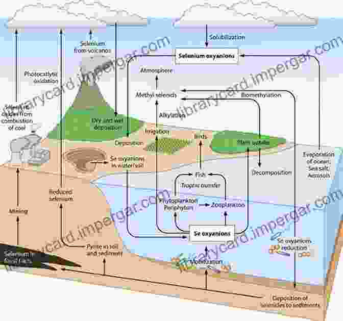 Selenium In The Environment: Essential For Life Selenium In The Environment (Books In Soils Plants And The Environment)