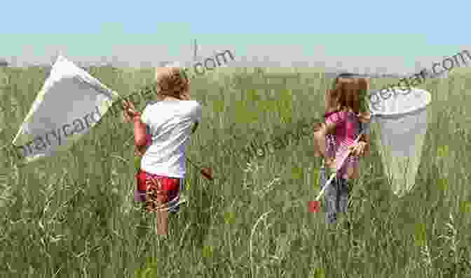 Students Studying Insect Diversity In A Meadow Using Sweep Nets Simple Procedure Of Soil Description: Ecological Field Studies Materials: Videos And Manuals