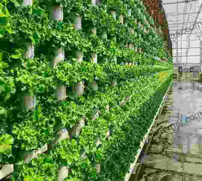 Vertical Farm With Stacked Layers Of Plants Hemp Bound: Dispatches From The Front Lines Of The Next Agricultural Revolution