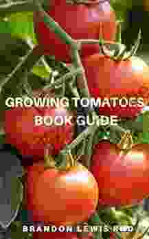 GROWING TOMATOES GUIDE: All You Need To Know About Growing And Taking Care Of Tomatoes