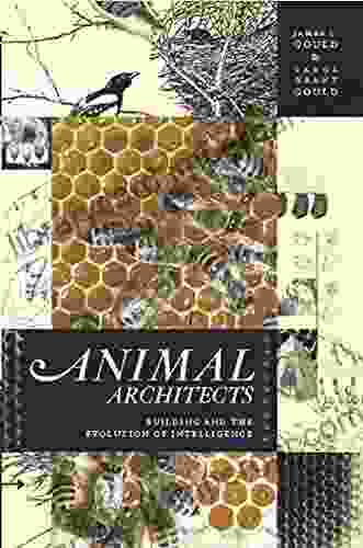 Animal Architects: Building And The Evolution Of Intelligence