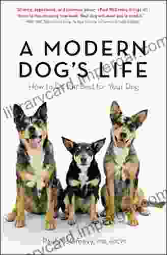 A Modern Dog S Life: How To Do The Best For Your Dog