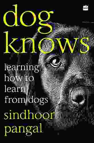 Dog Knows: Learning How To Learn From Dogs