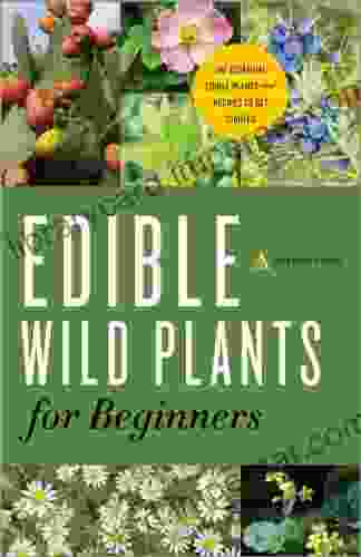 Edible Wild Plants For Beginners: The Essential Edible Plants And Recipes To Get Started