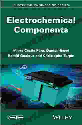 Electrochemical Components (Iste 716) Daniel Hissel