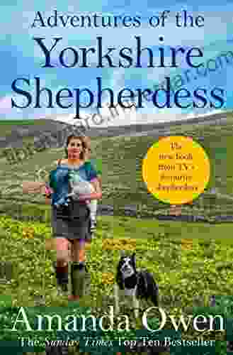 Adventures Of The Yorkshire Shepherdess