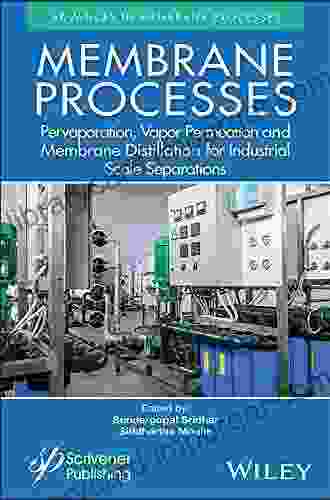 Modeling In Membranes And Membrane Based Processes: Industrial Scale Separations (Advances In Membrane Processes)