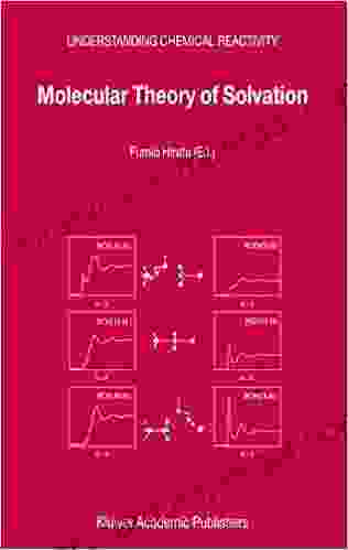 Molecular Theory Of Solvation (Understanding Chemical Reactivity 24)