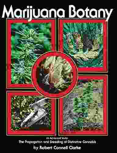 Marijuana Botany: An Advanced Study: The Propagation And Breeding Of Distinctive Cannabis