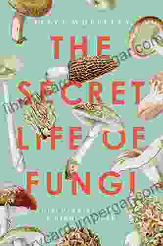 The Secret Life Of Fungi