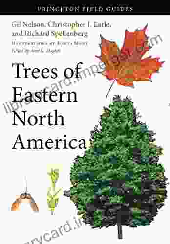 Trees Of Eastern North America (Princeton Field Guides 93)