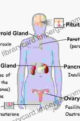 How The Endocrine System Works (The How It Works Series)