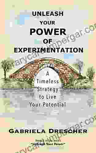 Unleash Your Power Of Experimentation: A Timeless Strategy To Live Your Potential